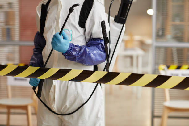 Professional Sewage Cleanup technician working in Mogadore, OH